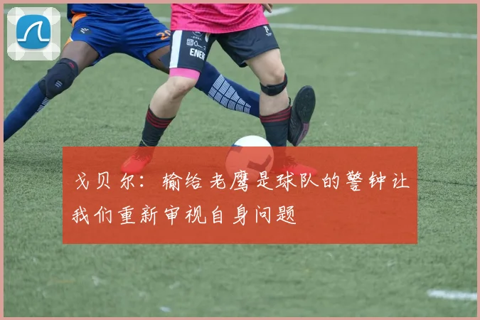 戈贝尔：输给老鹰是球队的警钟让我们重新审视自身问题